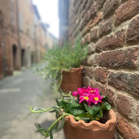 Nel Mio Immaginario ベッド・アンド・ブレックファスト