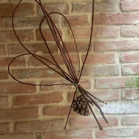 Nel Mio Immaginario 4* Città della Pieve