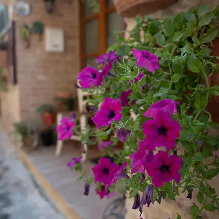 Nel Mio Immaginario Alojamento de Acomodação e Pequeno-almoço Città della Pieve