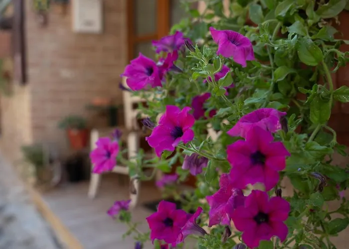 Nel Mio Immaginario فندق مبيت وإفطار Città della Pieve